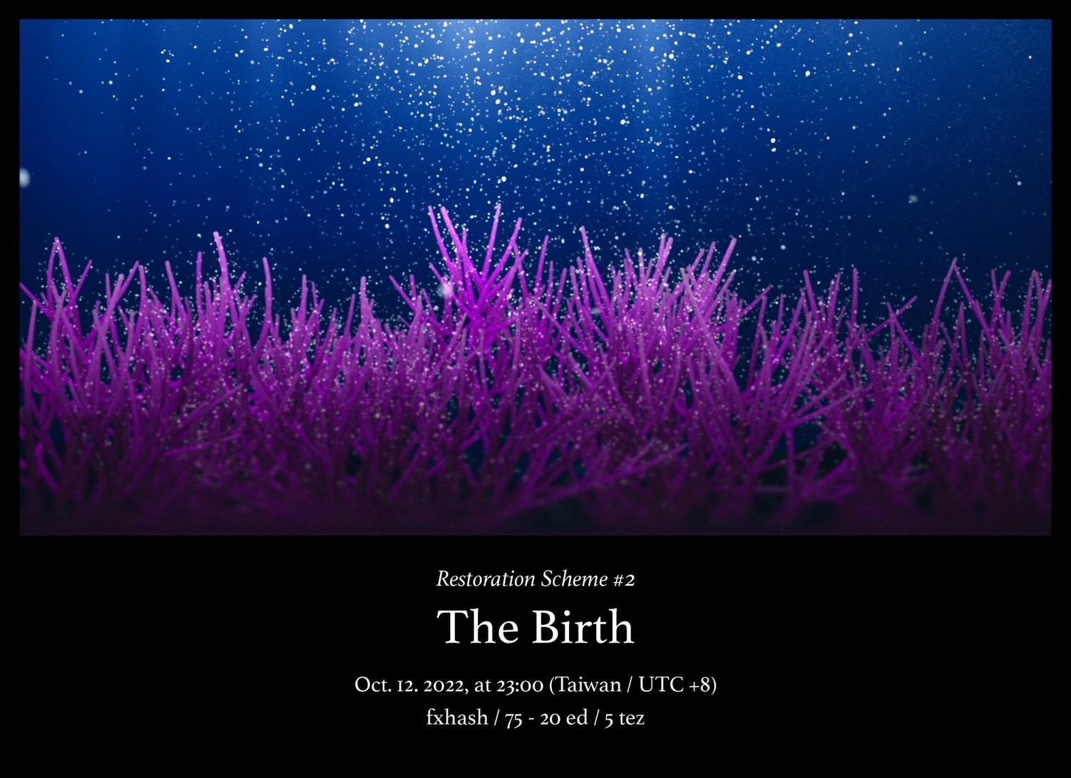 S__2088981 S__2088981